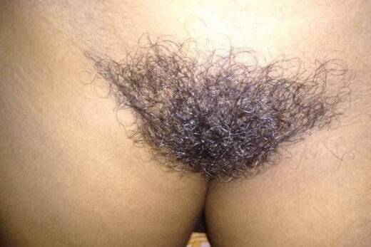 Bhabhi